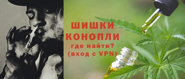 прущие грибы Бугульма