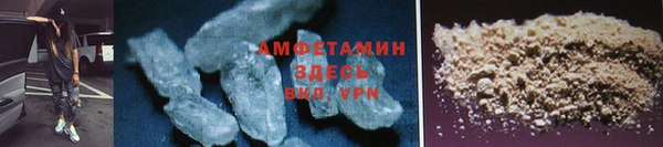 прущие грибы Бугульма