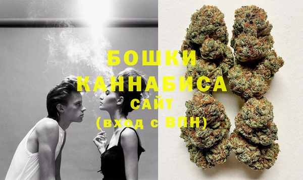 бошки Бронницы