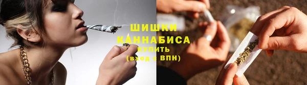 прущие грибы Бугульма