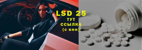 прущие грибы Бугульма