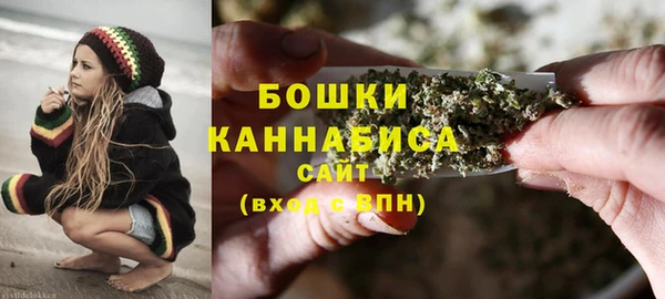 крисы Богородицк