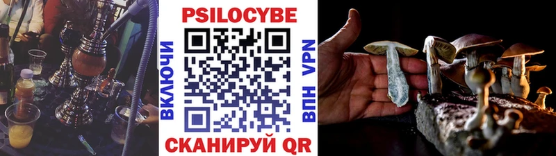 Галлюциногенные грибы прущие грибы  Невель 